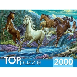 TOPpuzzle. ПАЗЛЫ 2000 элементов. ХТП2000-1594 Ночной табун лошадей