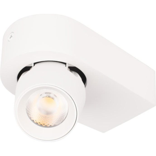 Накладной спот Loft IT Quiet 10320 White